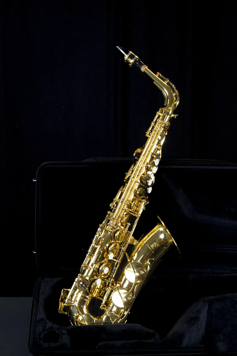 Saxophone at - Senai Informática